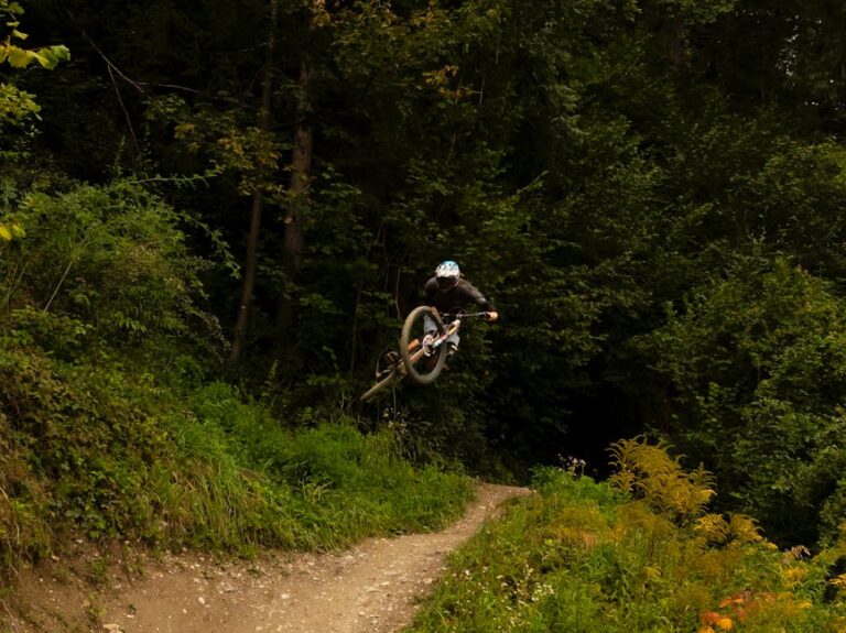 Road Bike vs Mountain Bike 2026: Complete Comparison Guide
